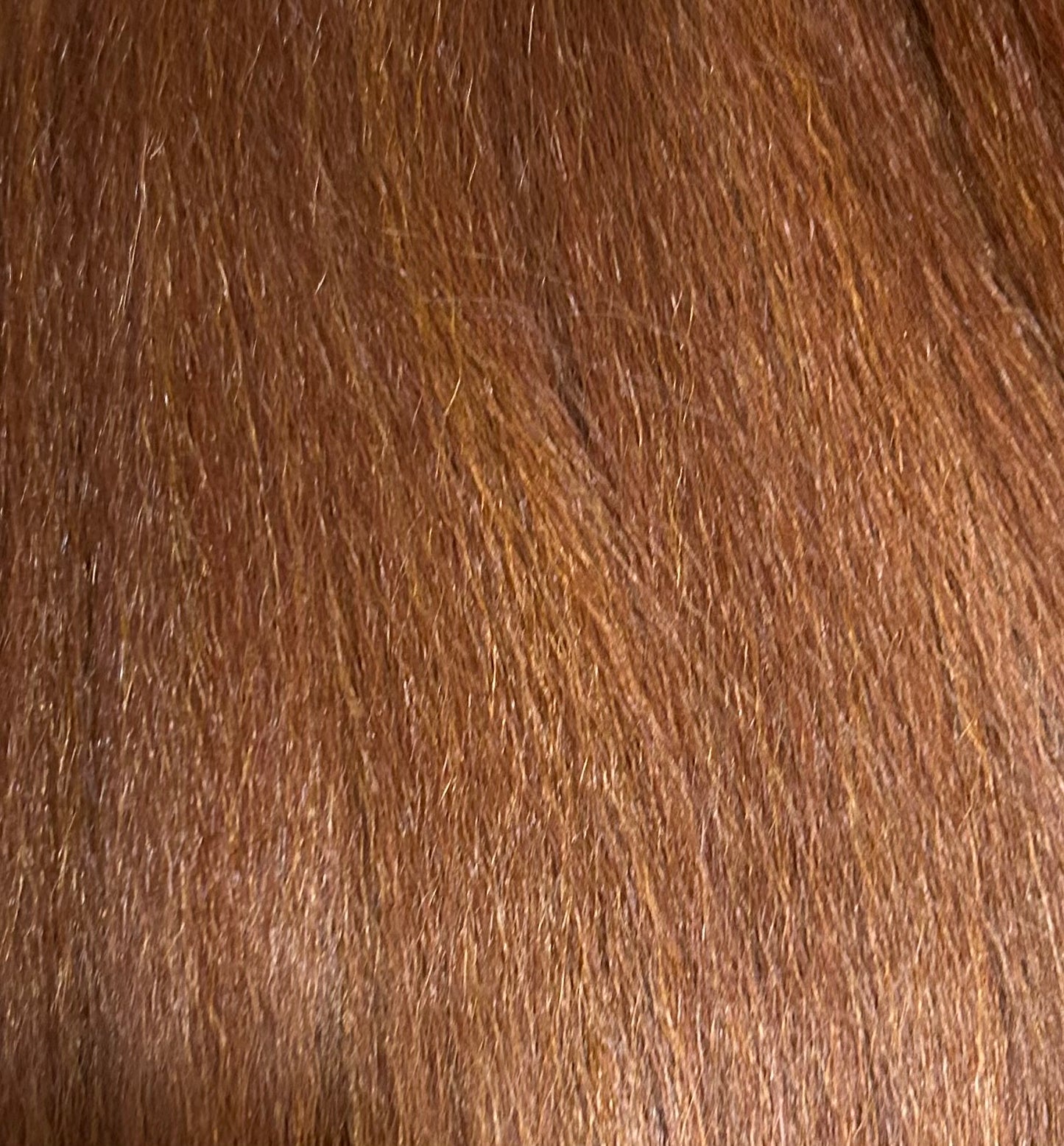 KIMI